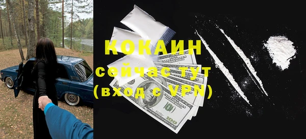 дживик Кулебаки
