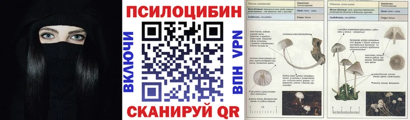 Галлюциногенные грибы ЛСД  закладка  Подпорожье 